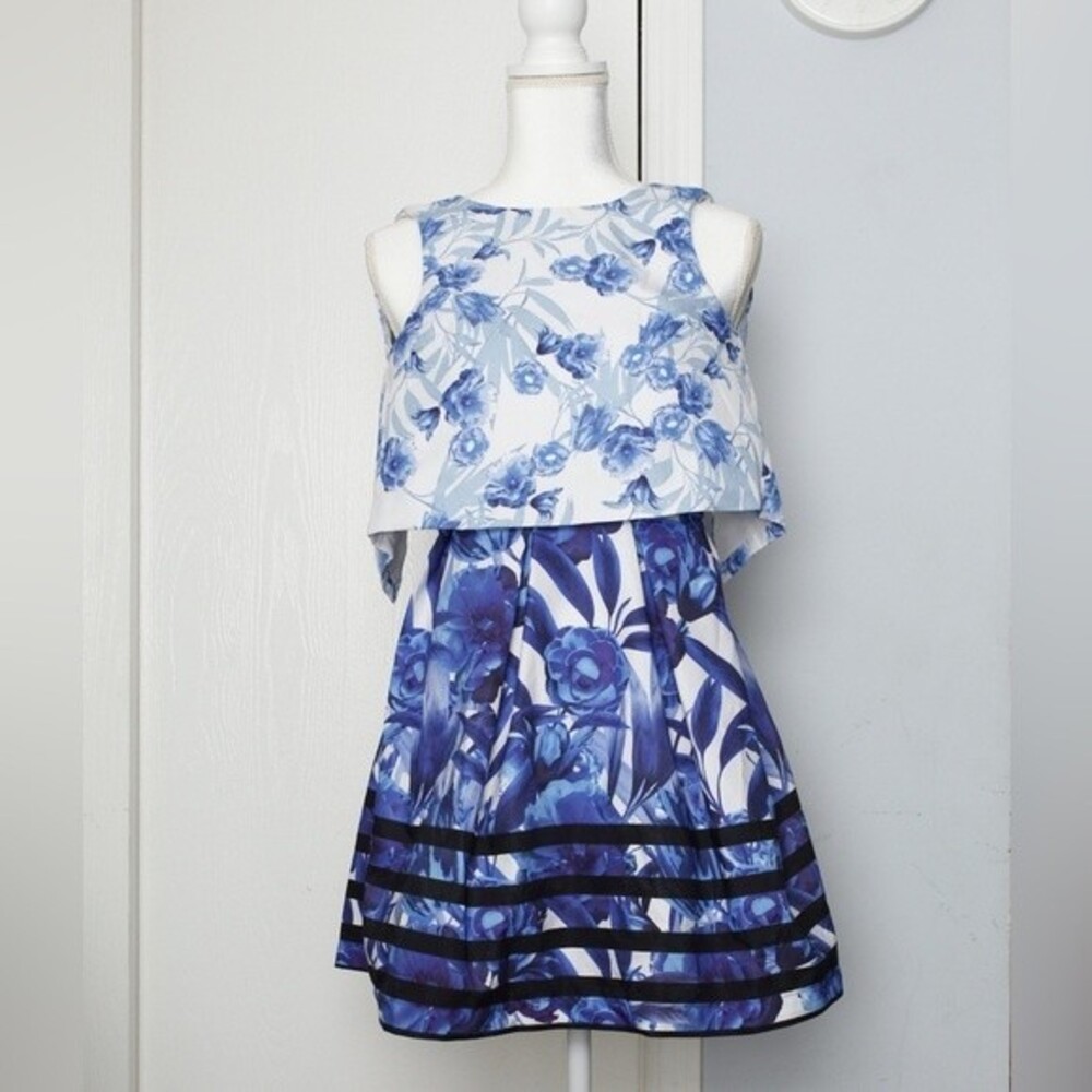Blue Sleeveless Floral Layered Dress